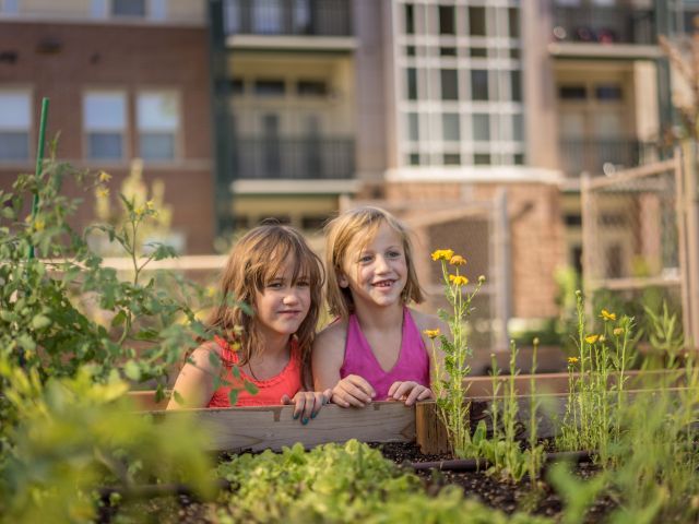 two girls looking over the edge of a raised garden